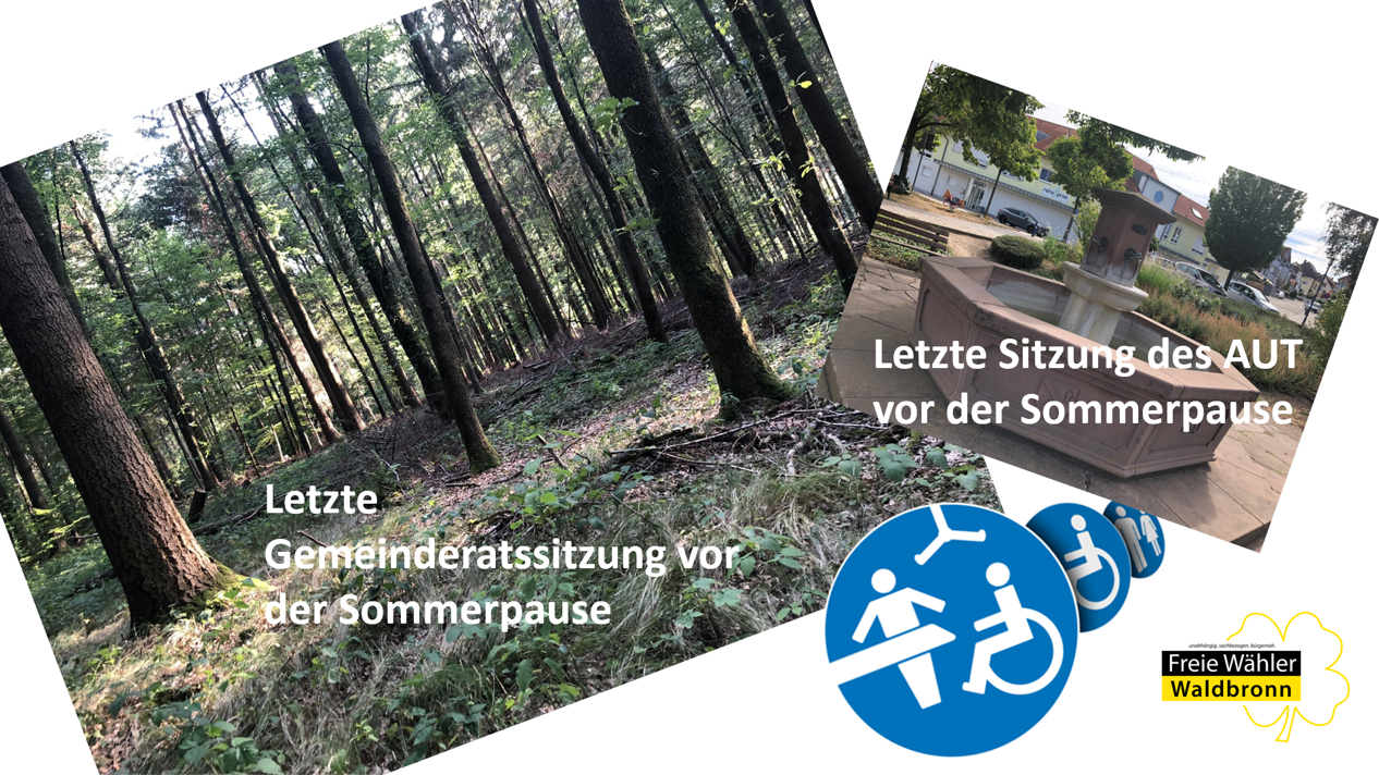 Letzter Bericht der Fraktion vor der Sommerpause