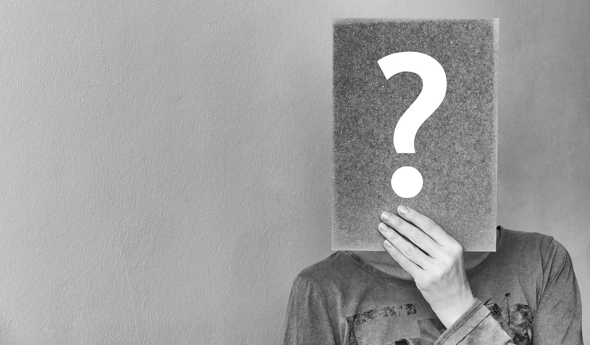 Mitgliederkommentar: Was die anderen schreiben