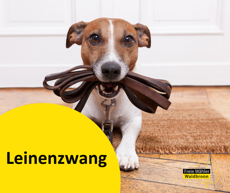 Leinenzwang für Hunde im Außenbereich